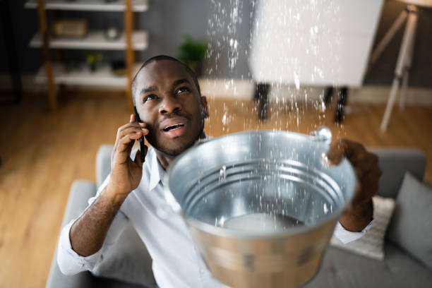Best Water damage restoration specialists  in Galion, OH