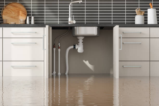 Best 24-hour water damage restoration  in Galion, OH