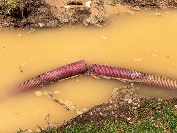 Best Carpet water damage restoration  in Galion, OH
